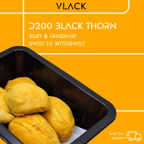 D200 Black Thorn (500g Each Box) Old Tree Durian Fruit Natural - Image 2