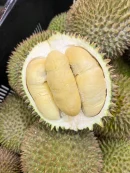 PWP - Add on purchase of D24 with any 3 box durian purchase
