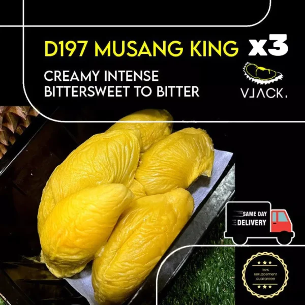 D197 Pahang Highland Musang King (400-450g per box) Old tree fresh durians natural